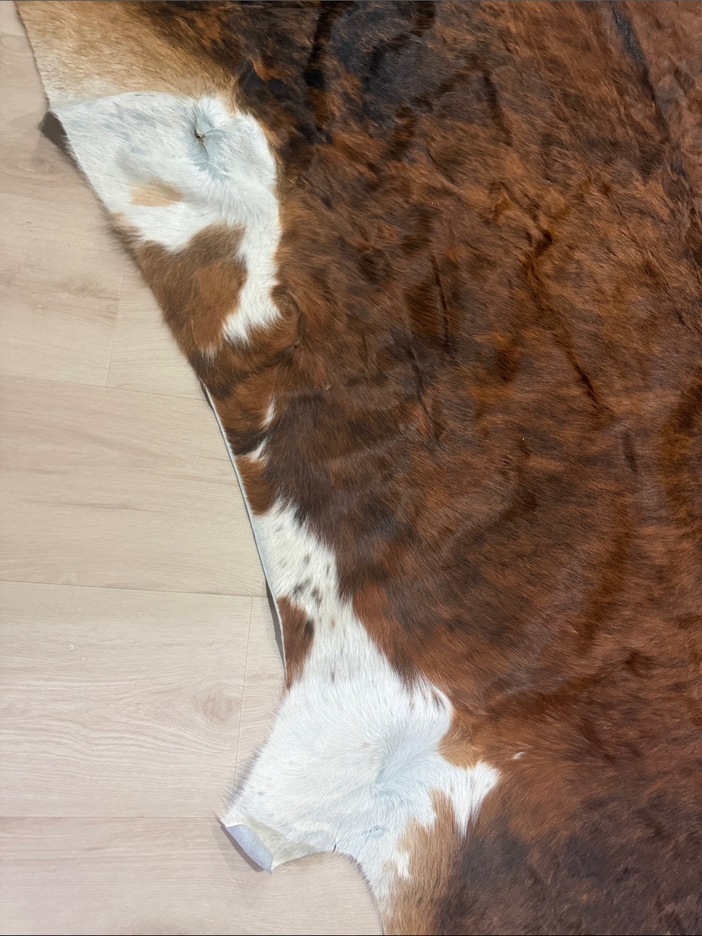 Brown and White Cowhide Rug - Luxurious Natural Hide Accent 89x70 - Picture 2 of 4